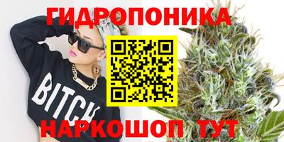 ГАЛЛЮЦИНОГЕННЫЕ ГРИБЫ Новозыбков