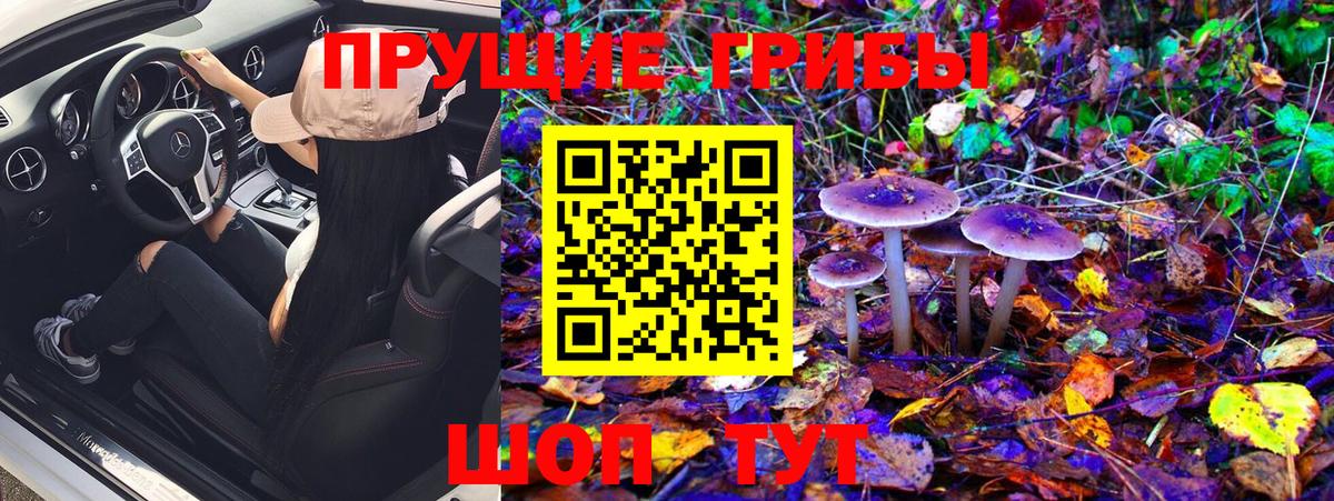 Галлюциногенные грибы Cubensis  Псилоцибиновые грибы Psilocybe  Тихвин  Вход с VPN 